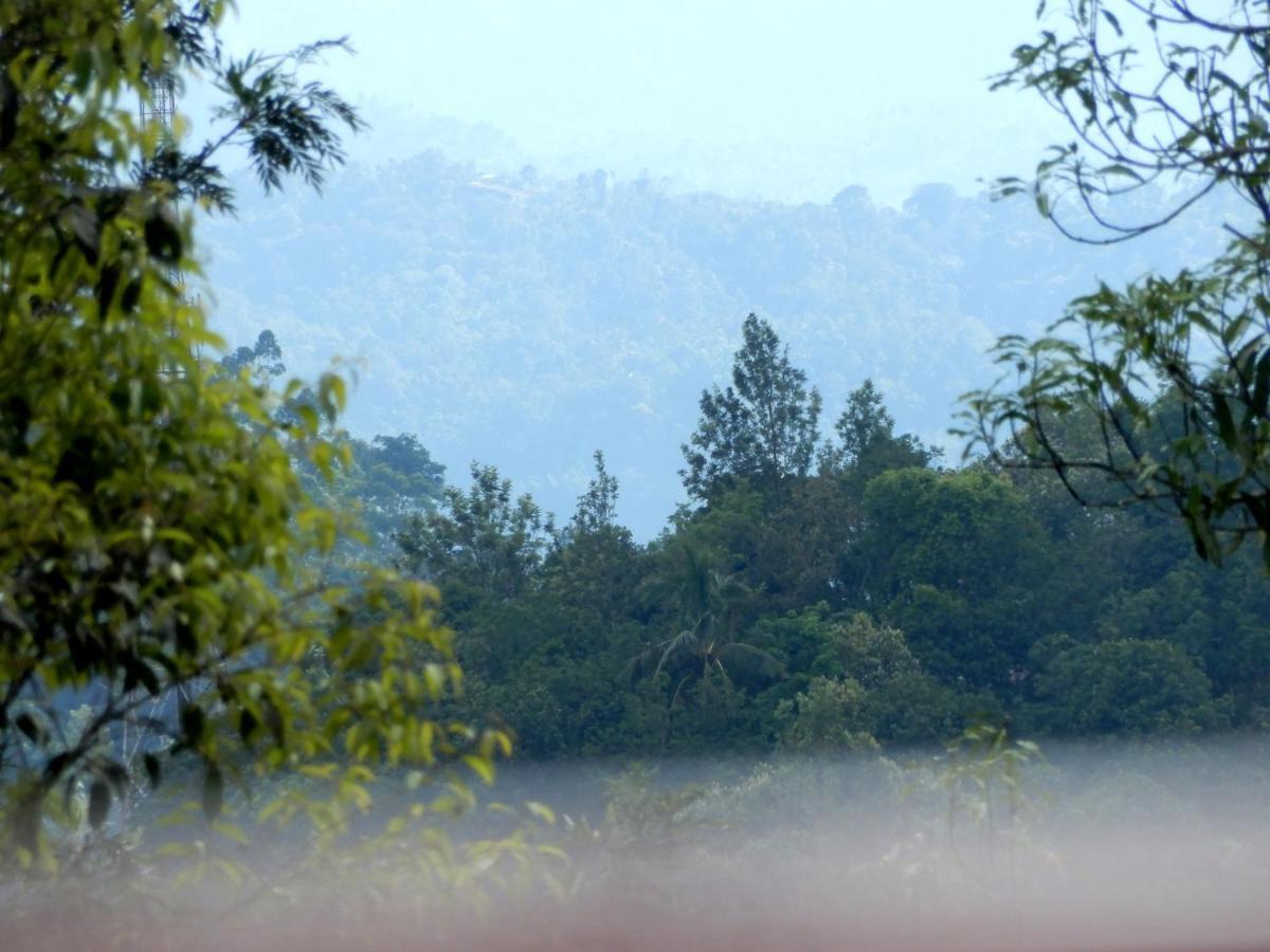 Drizzle Valley Cottage Munnar Luaran gambar